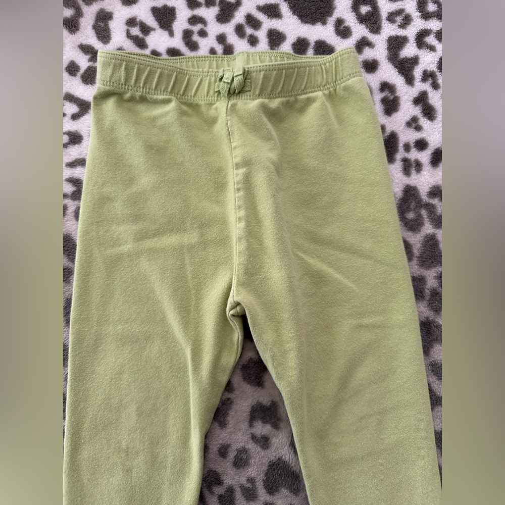 babyGap Brannan’s Favorites Leggings in Green Size Infant 12-18 months - Picture 3 of 13